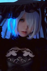 [Beauty Coser] Half-and-half "No. 2 Type B"