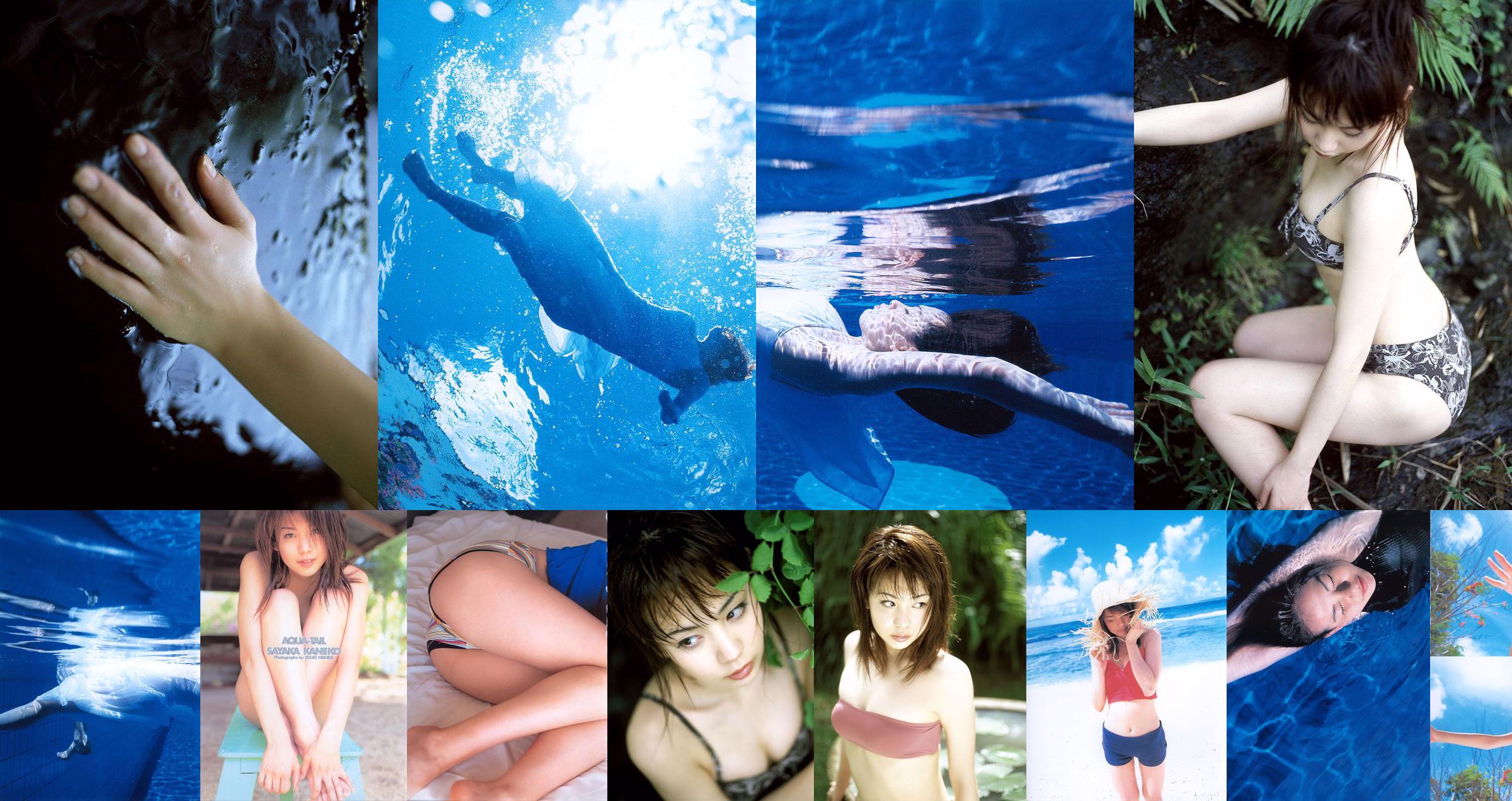 Kaneko Kan や か / Kanesha Yaka "AQUA-TAIL" [PB] No.73c540 Seite 2