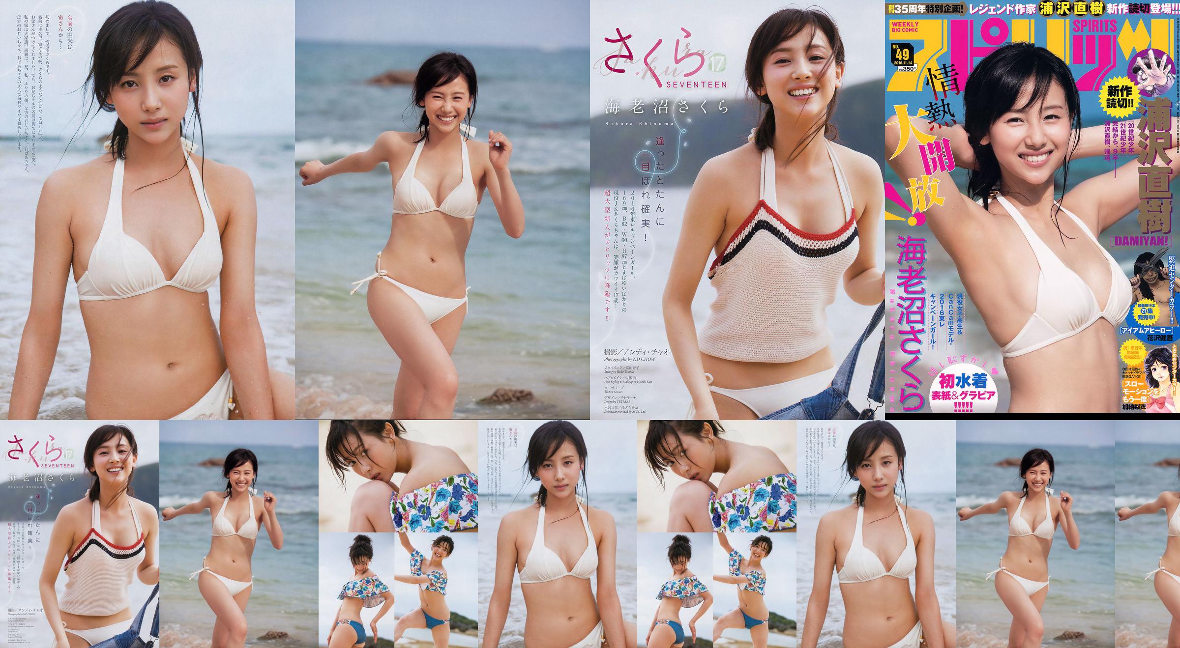 [Weekly Big Comic Spirits] 海老沼さくら 2016年No.49 写真杂志 No.074a6a 第4頁