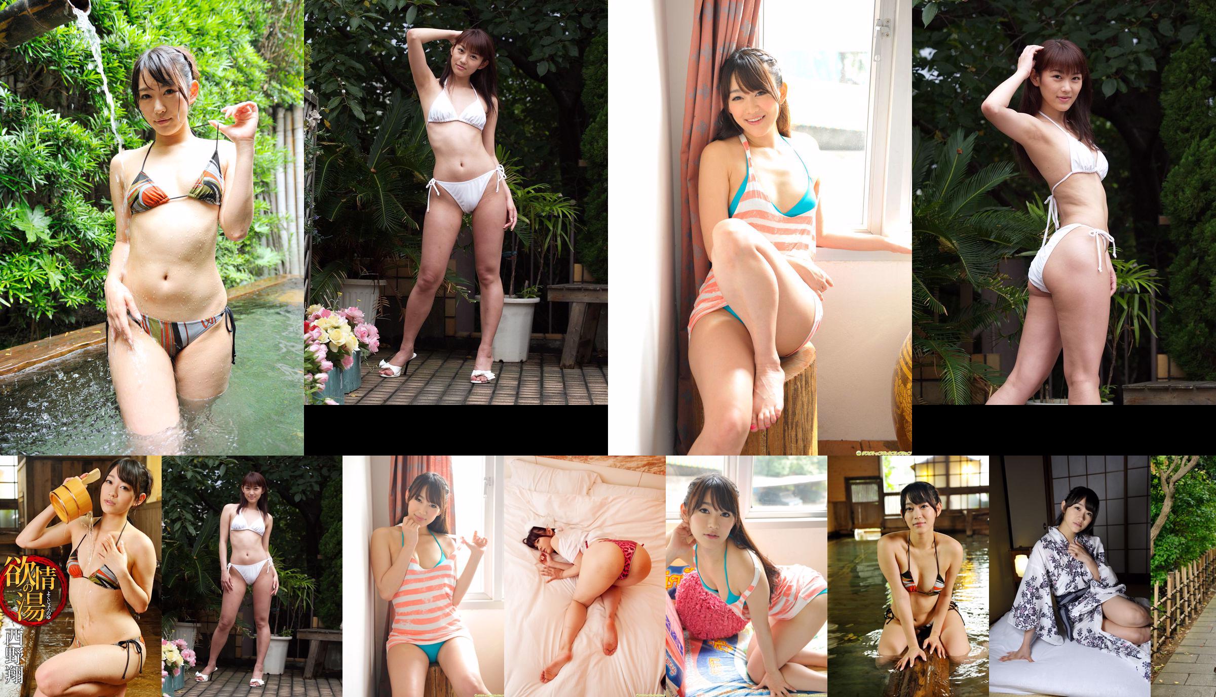 Sho Nishino << พบกับสาวสวยสุดแซ่บที่โรงแรม >> [DGC] NO.1098 No.8866fe หน้า 45